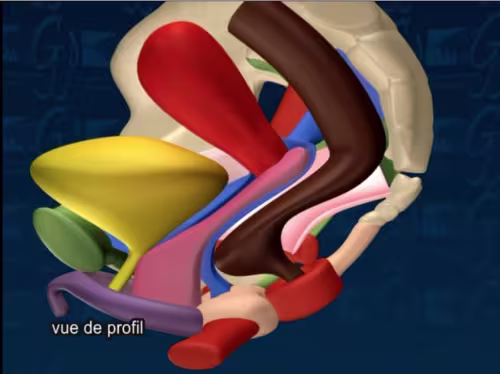 visuel