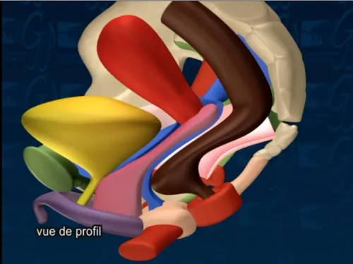 visuel